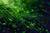 A close up of a green circuit board.